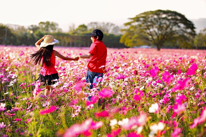Bloemenkalender Thailand