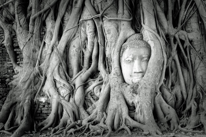 タイ アユタヤ時代（18世紀頃）の古い絵画